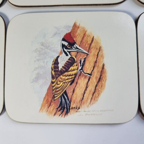 Chelsy Coasters Tropical Birds Sri Lanka Set of 6 W/ Box Acrylic Cork - Picture 3 of 10